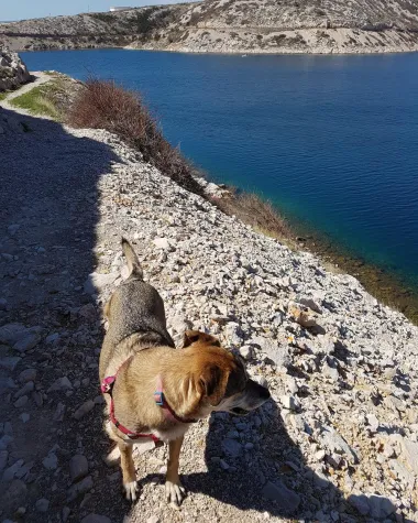 Pupa pomno radi plan za godišnji odmor..??