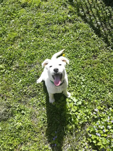 Luna :)