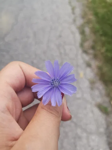 Priroda:)