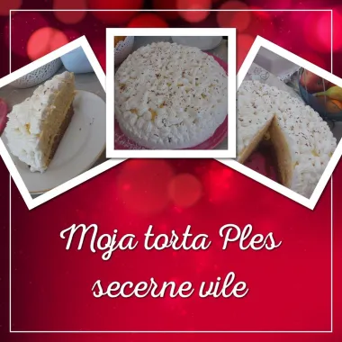 Moja kreacija