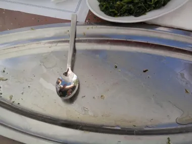Bile su to najfinije orade s grilla