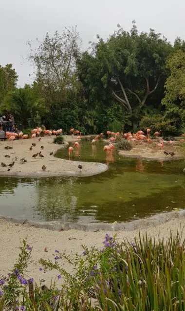 San Diego Zoo