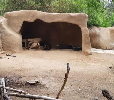 San Diego Zoo