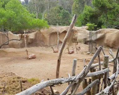 San Diego Zoo