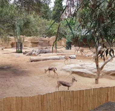 San Diego Zoo