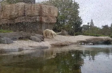 San Diego Zoo
