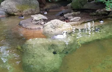 San Diego Zoo