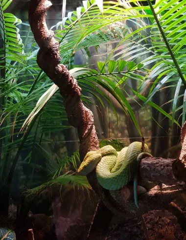 San Diego Zoo
