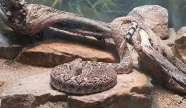 San Diego Zoo