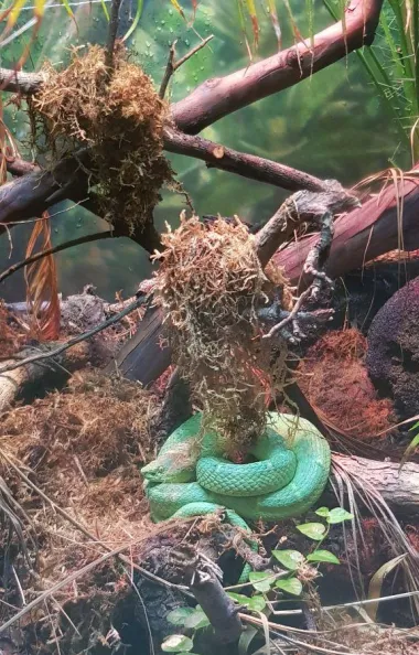 San Diego Zoo