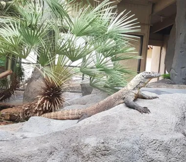 San Diego Zoo