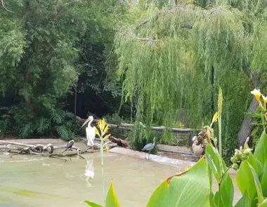 San Diego Zoo