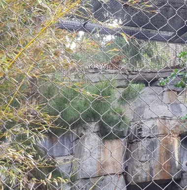 San Diego Zoo