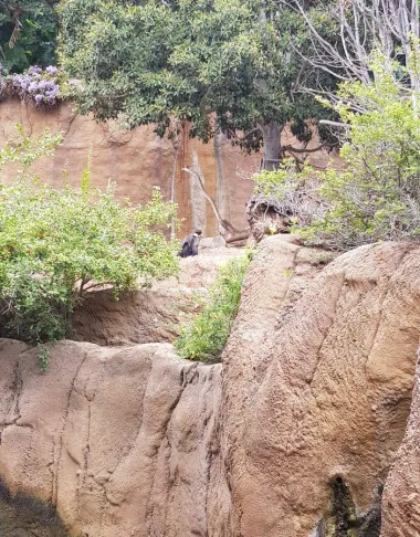 San Diego Zoo