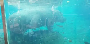 San Diego Zoo