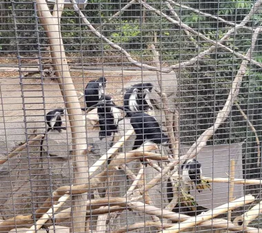 San Diego Zoo