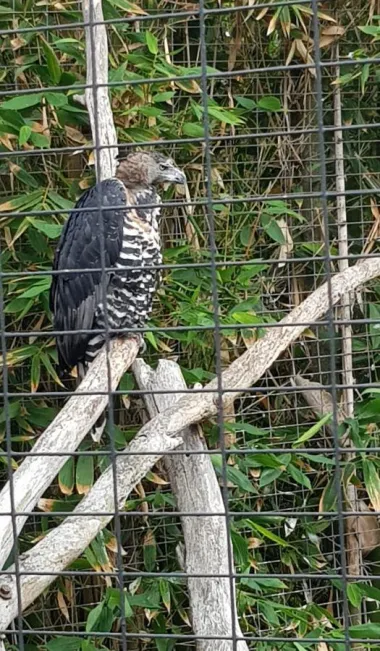 San Diego Zoo
