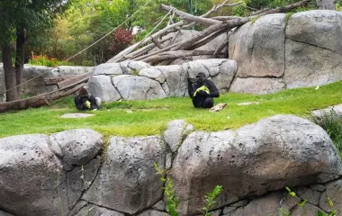 San Diego Zoo