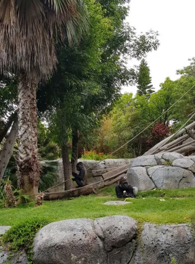 San Diego Zoo