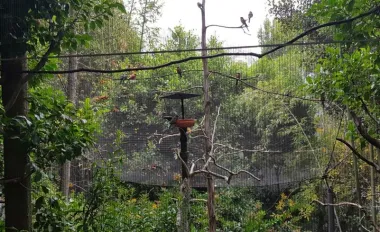 San Diego Zoo