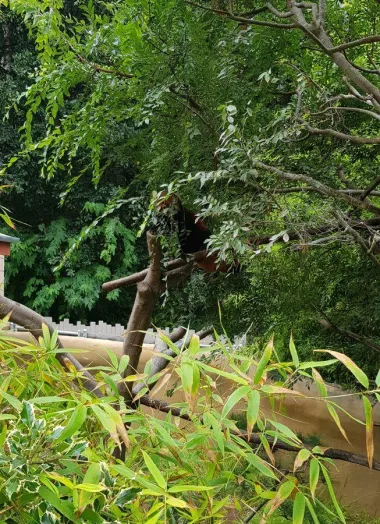 San Diego Zoo
