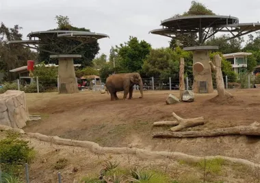 San Diego Zoo