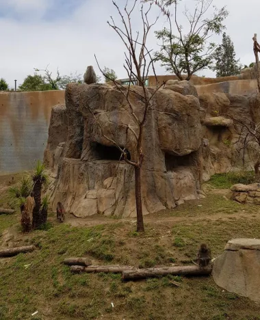 San Diego Zoo