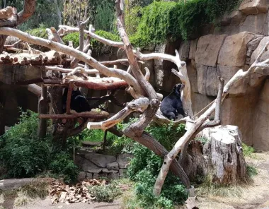 San Diego Zoo