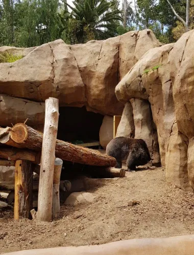 San Diego Zoo