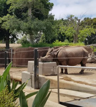 San Diego Zoo