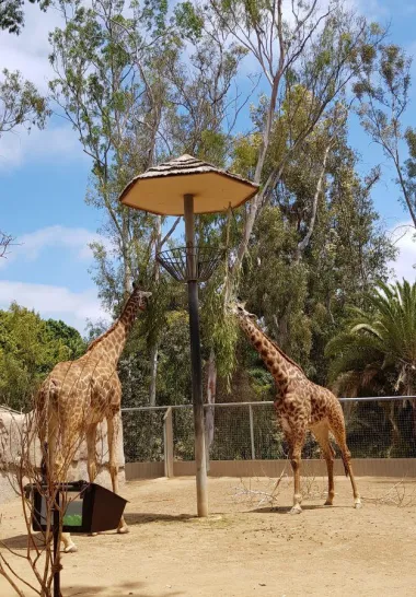 San Diego Zoo