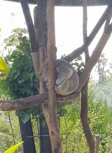 San Diego Zoo