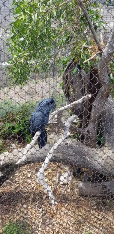 San Diego Zoo