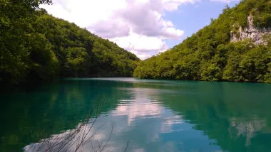 Opuštajuće zeleno