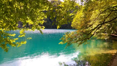 Tema je: zeleno