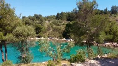Tema je: zeleno