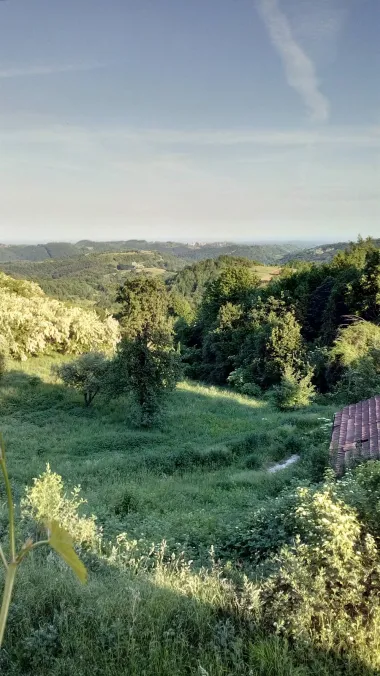 Tema je: zeleno