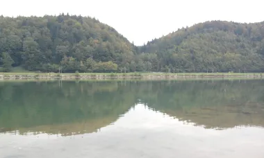 Zelenilo u Savi