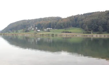 Odraz zelenog u Savi