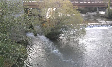 Mrežnica