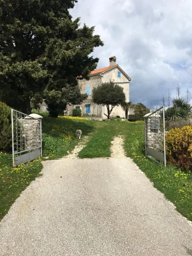 Tema je: zeleno