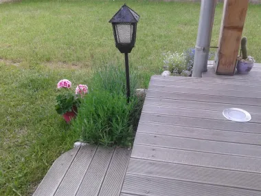 Djedova lampa u mom zelenilu