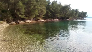 Oaza mira