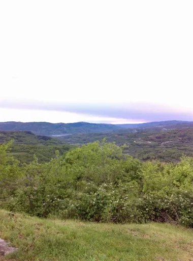 Borut, Istra
