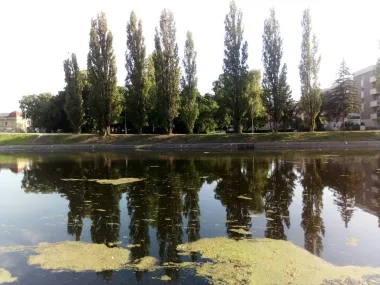 Obala Bosuta