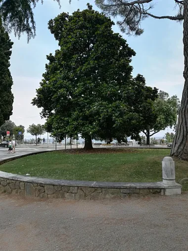 Tema je: zeleno