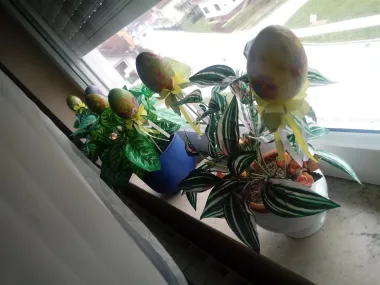 Eggs *_*