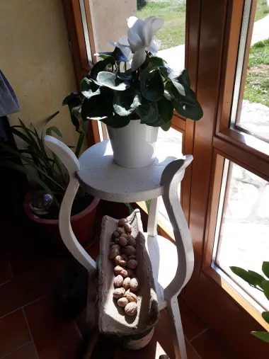 Proljetno!