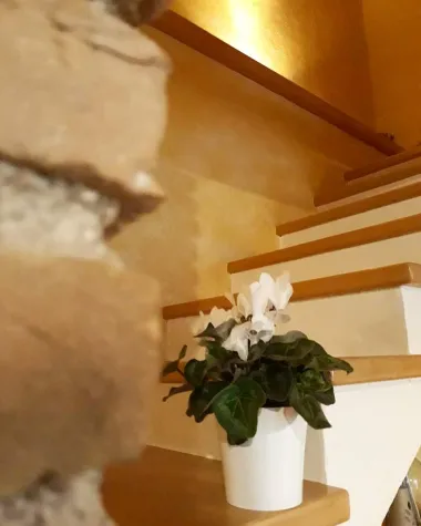 Proljetne dekoracije u mom domu