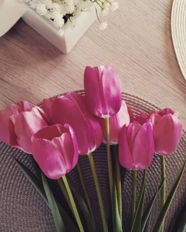 Love sun,love flower ,love spring